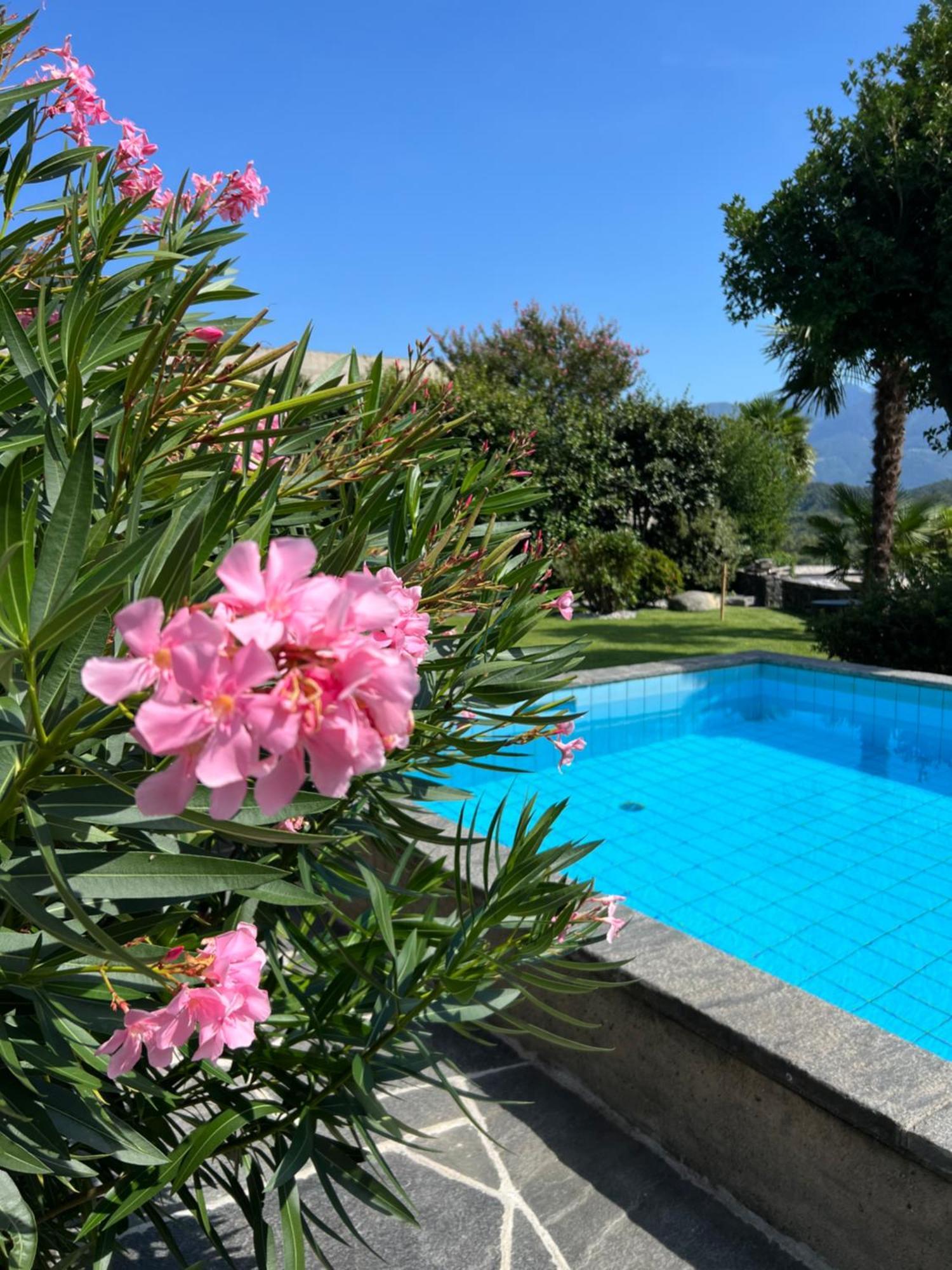 Holiday home Casa Medusa - Con Piscina, A 2 Minuti Dalla Stazione